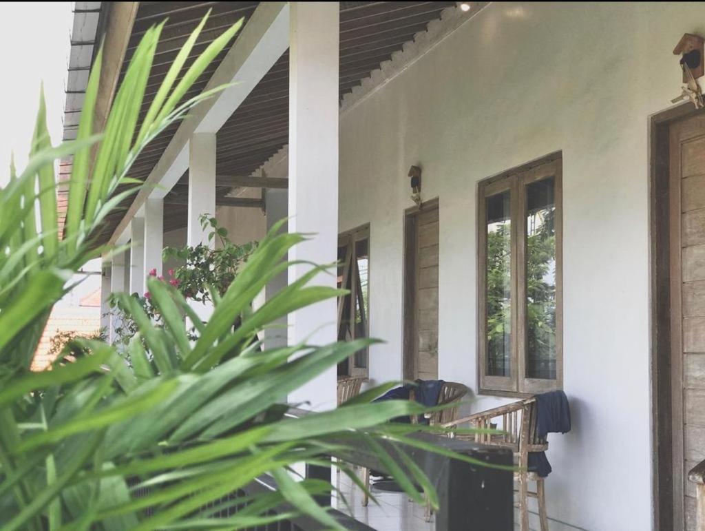 Double D Guest House Canggu Экстерьер фото